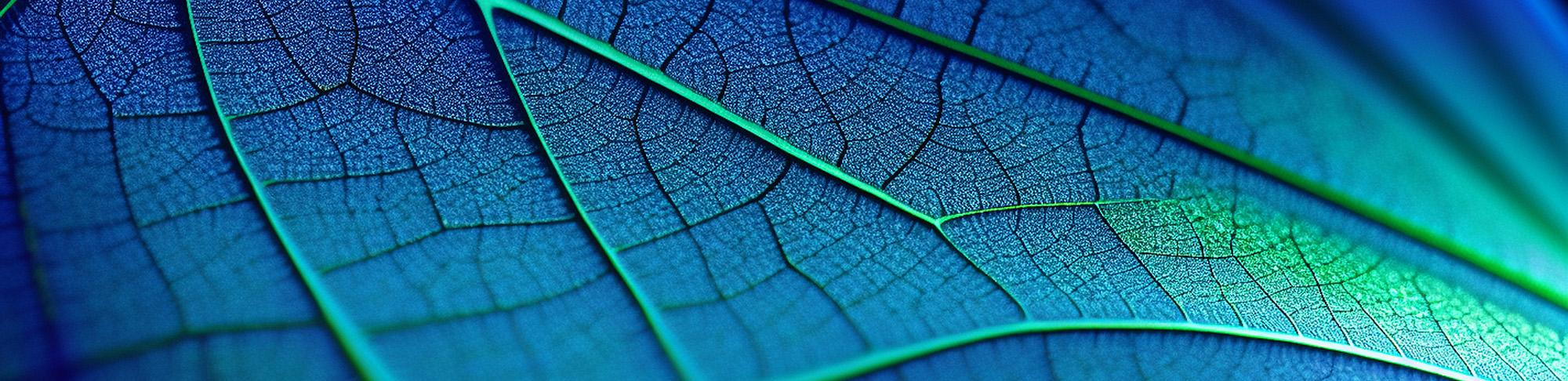 地球日横幅在显微镜下显示叶子的纹理