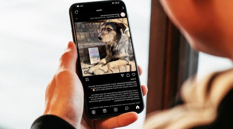 一名男子拿着一部手机，上面显示着一只狗的图片.