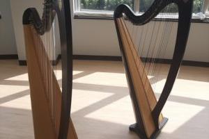 Community Music Division Harps