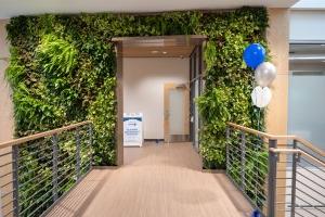 Plant wall with a door opening that leads into a hallway